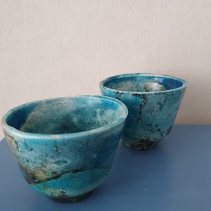 Blauw bruine schaaltjes